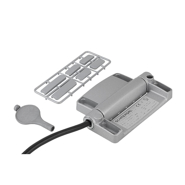 Safety Hinge Switch  78X116, Form:B, Zinc, Comp:Plastic, , , 1C / 2O